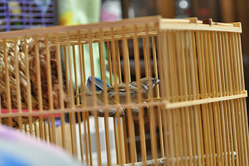 �ی삳�ꂽ������