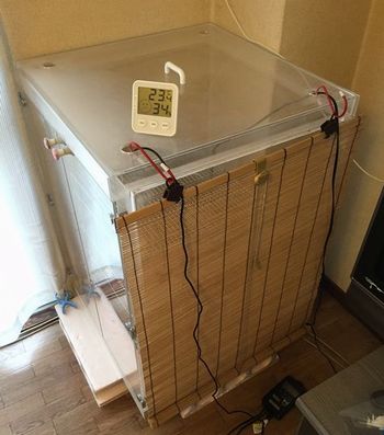 すだれをかけて、目隠しに