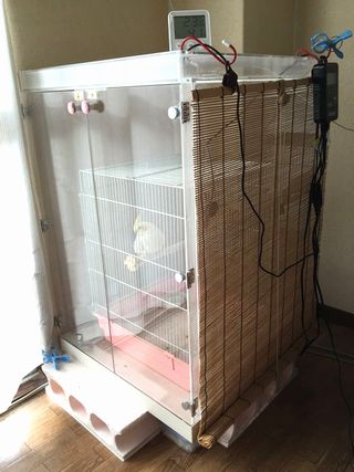 オカメインコの鳥かごを入れたアクリルケース