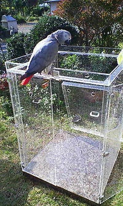 �A�N�����P�[�X�œ��������̃��E��