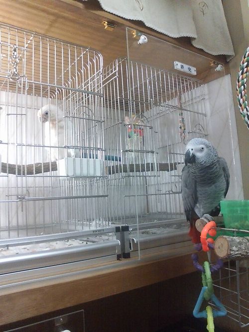 �F�B�̉ƂɗV�тɍs�������E��