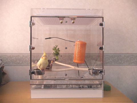 オカメインコのアクリルケース