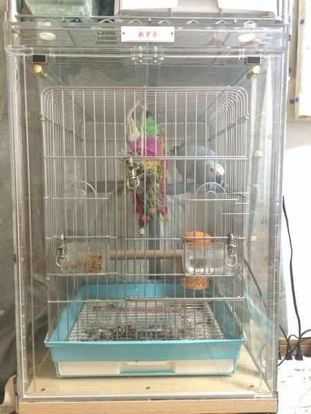 ���E���̒���������ꂽ�A�N�����P�[�X