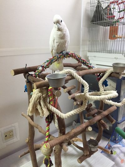 �I�I�o�^��