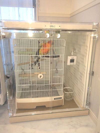 �R�K�l���L�V�R�C���R�̖����΍�