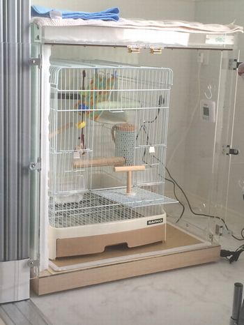 ����������ꂽ�A�N�����P�[�X