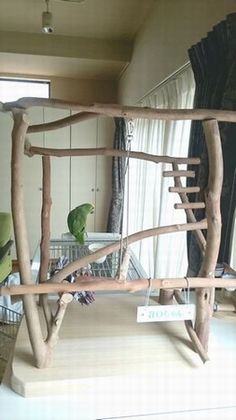 恐る恐る遠目でジムを見るインコ