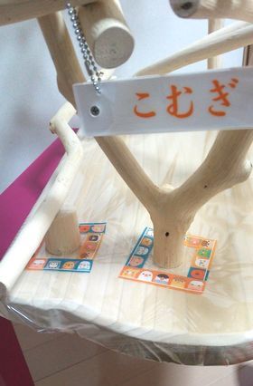 �o�[�h�W���̑�Ƀr�j�[����~���ĉ���΍�