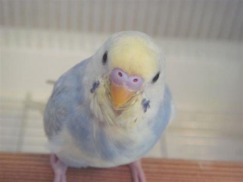 �Z�L�Z�C�C���R