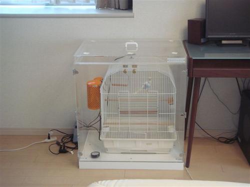 �Z�L�Z�C�C���R�̃A�N�����P�[�X�@�ۉ��΍�