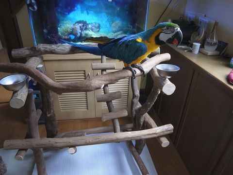 ���ɊC��������