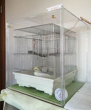 オカメインコのアクリルケース オカモチ式