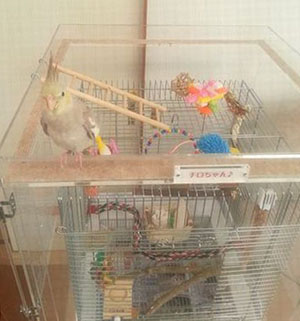 �A�N�����P�[�X��ɗV�я��DI�x