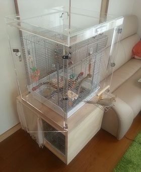 �A�N�����P�[�X��p����葢��