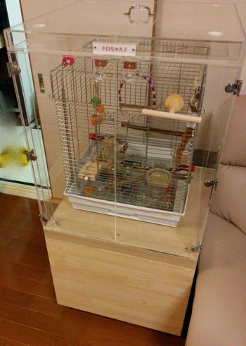 �I�J���C���R�̒���������ꂽ�A�N�����P�[�X