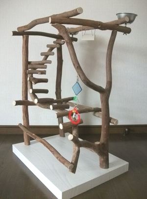 �o�[�h�W��