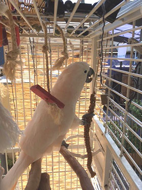 �I�I�o�^��