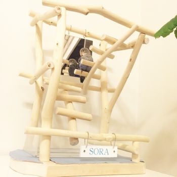 �R�U�N���C���R�̃o�[�h�W��