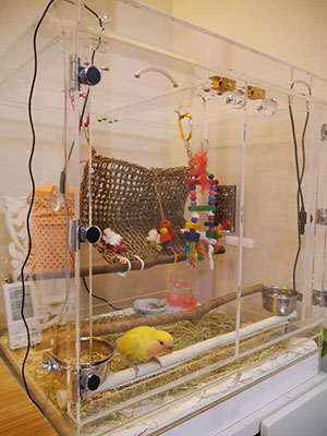 �C���R�~�܂�؂̃A�C�f�A