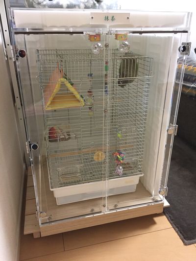 �z�I�~�h���A�J�I�E���R�C���R�̖����h���P�[�X