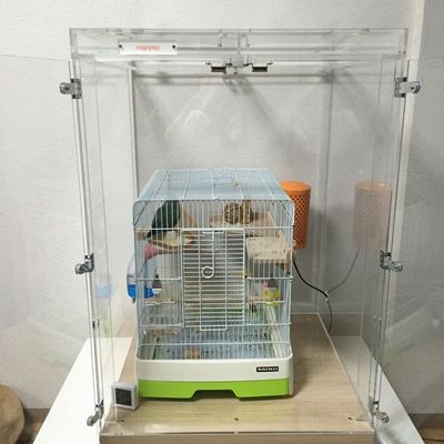 �R�U�N���C���R�̃A�N�����P�[�X