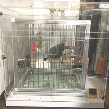 ���E���̒��������������A�N�����P�[�X