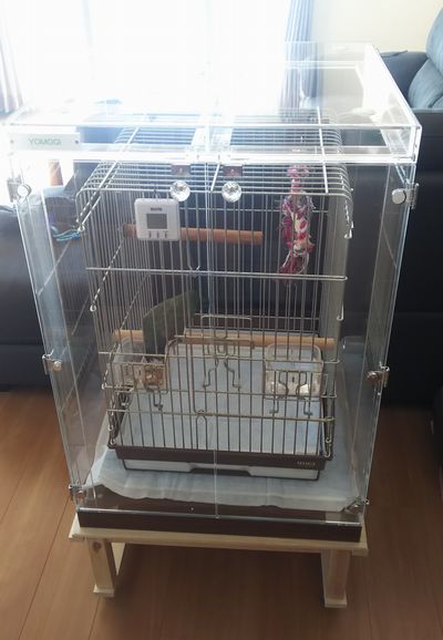 ドウバネインコの鳥かごを入れたアクリルケース