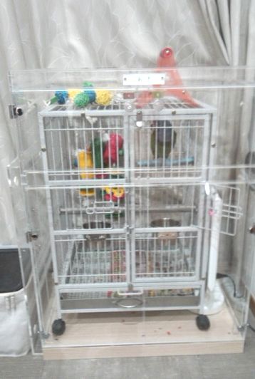 �E���R�C���R�̒���������ꂽ�A�N�����P�[�X