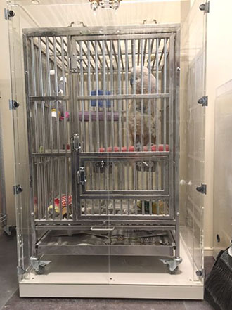 �I�I�o�^���̒���������ꂽ�A�N�����P�[�X