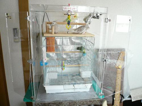 �I�J���C���R�̒���������ꂽ�A�N�����P�[�X