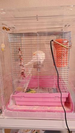 �A�N�����P�[�X�ŃI�J���C���R�̕ۉ�