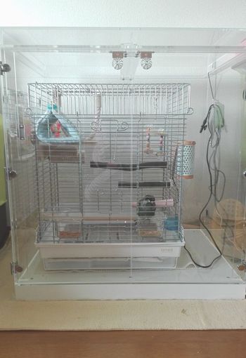 �E���R�C���R�̒���������ꂽ�A�N�����P�[�X