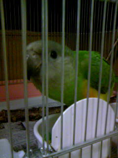 �l�Y�~�K�V���n�l�i�K�C���R