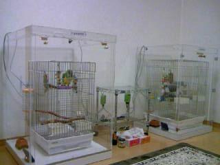 ����������ꂽ�A�N�����P�[�X