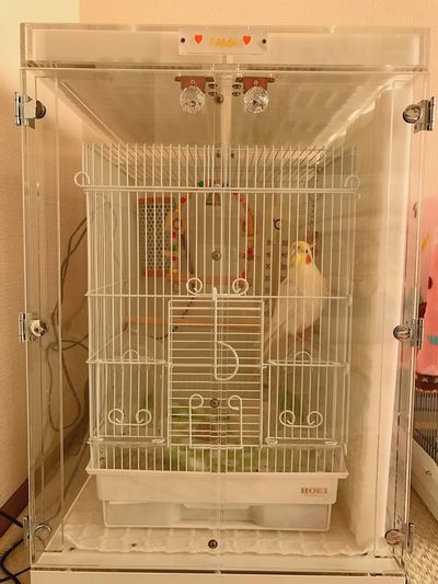 �����΍�ɋz���ސݒu