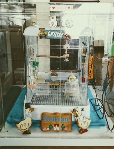 �A�N�����P�[�X���f�R���[�V����