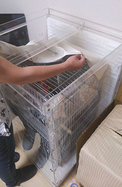 鳥かごにお休みカバーのセット方法