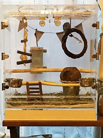 �C���R��������A�N�����P�[�X