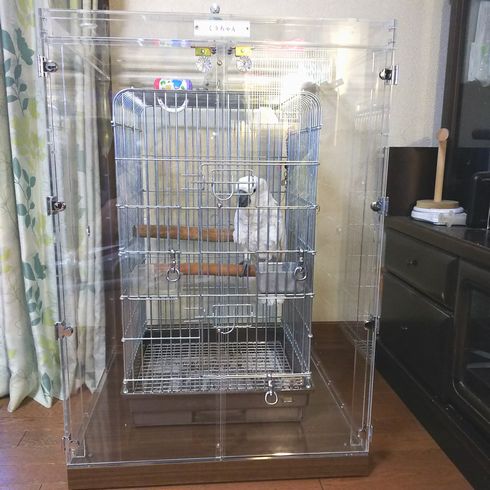タイハクオウムの鳥かごを入れたアクリルケース