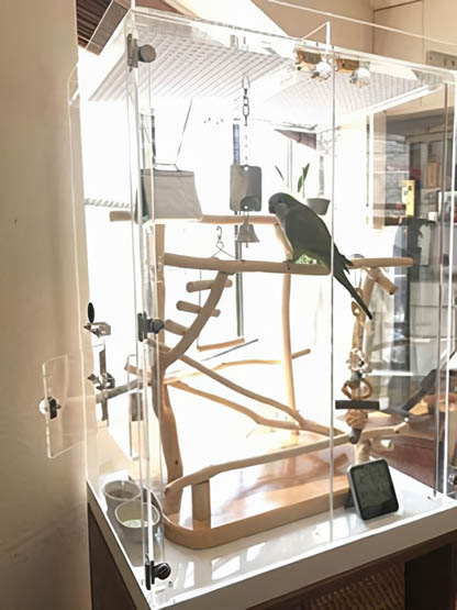 �A�N�����P�[�X���Ƀo�[�h�W��������