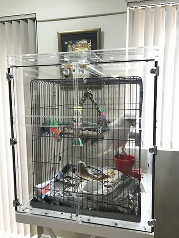 アクリルケースを海外へ持ち出し