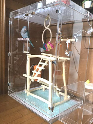 �A�N�����P�[�X�̒��Ƀo�[�h�W��