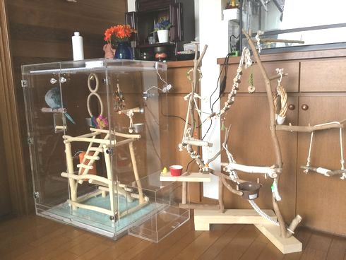 �C���R�̗V�я������