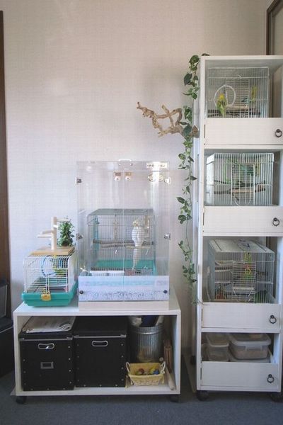 ����̒��}���V����