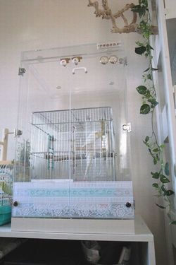 �������A�N�����P�[�X�̉����Ƀ��[�X�\��