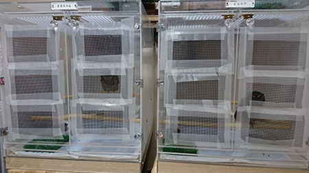 アクリルケース扉に追突防止