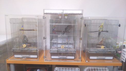 鳥かご用のアクリルケース3台