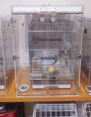 ワカケホンセイインコのアクリルケース 防音