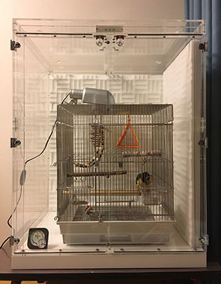 ズグロシロハラインコのアクリルケース 防音仕様