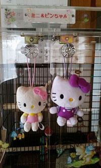 扉のツマミに掛けたキティちゃん